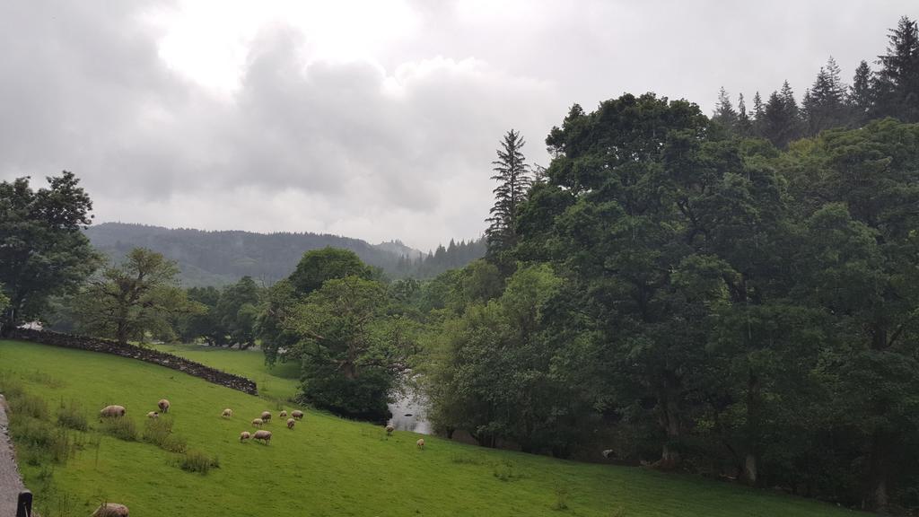 Bod Gwynedd Bed And Breakfast Betws-y-Coed Zewnętrze zdjęcie