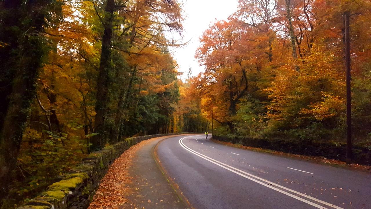 Bod Gwynedd Bed And Breakfast Betws-y-Coed Zewnętrze zdjęcie